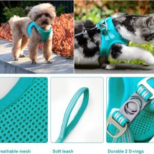Cat Harness and Leash Set